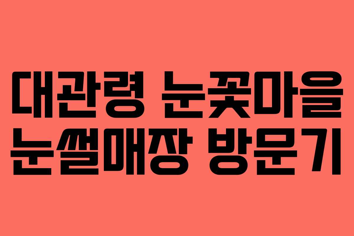 대관령 눈꽃마을 눈썰매장 방문기