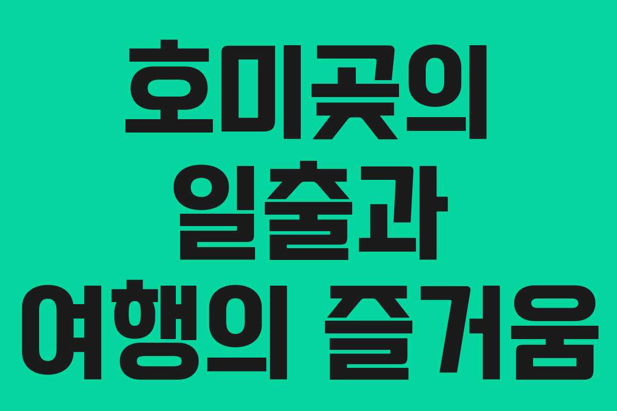 호미곶의 일출과 여행의 즐거움