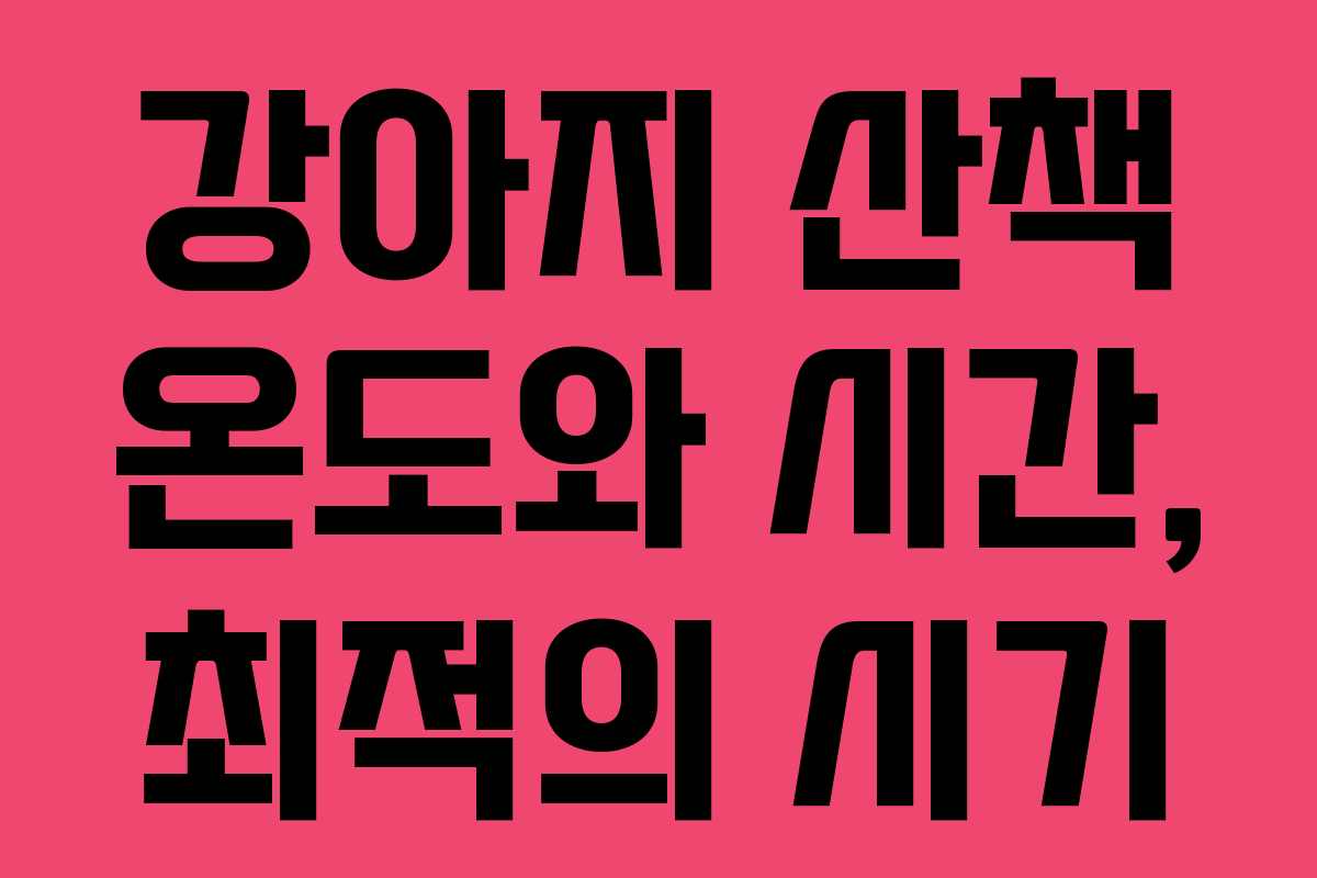 강아지 산책 온도와 시간, 최적의 시기