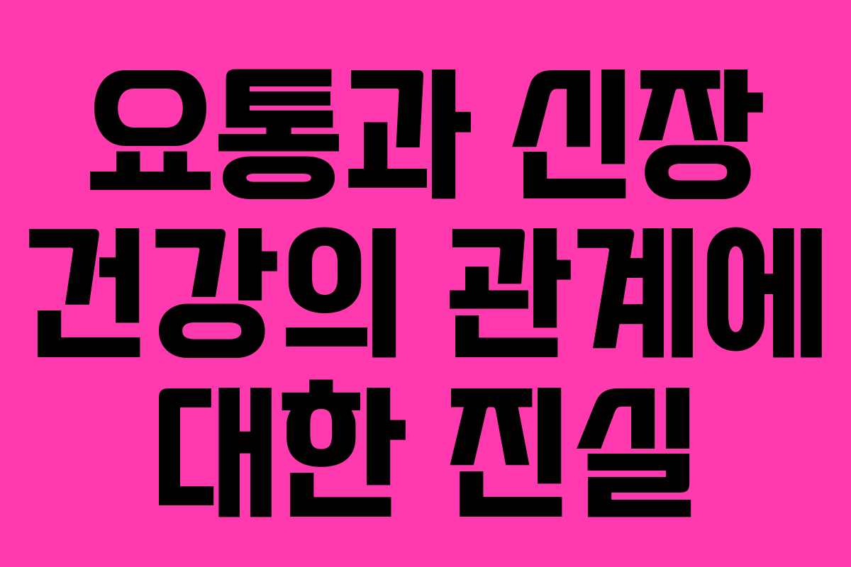 요통과 신장 건강의 관계에 대한 진실 요통과 신장 건강의 관계에 대한 진실