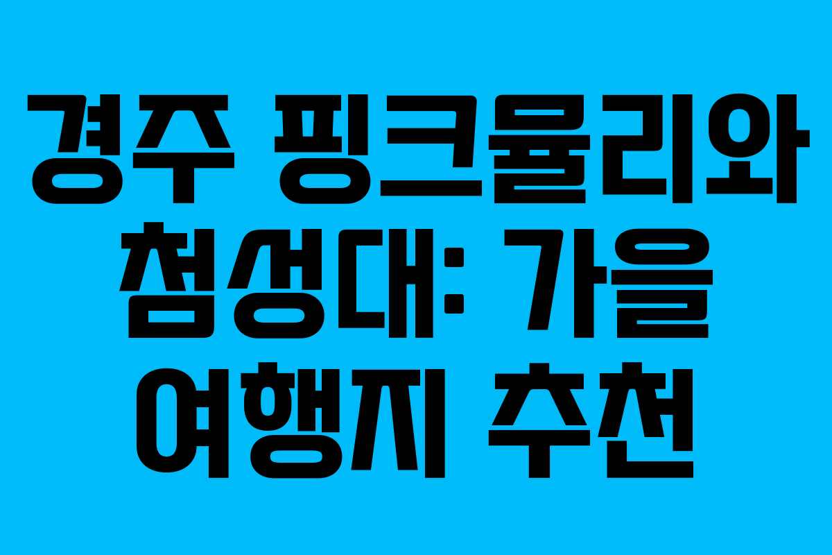 경주 핑크뮬리와 첨성대: 가을 여행지 추천