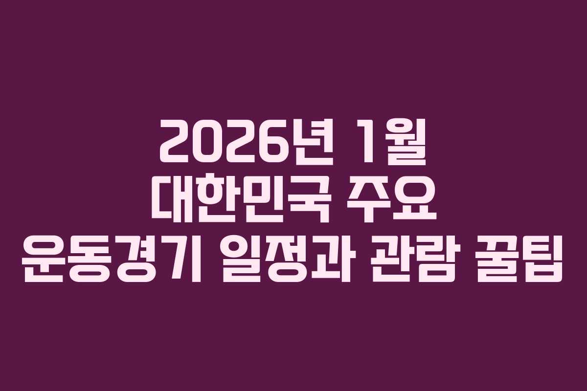 2026년 1월 대한민국 주요 운동경기 일정과 관람 꿀팁
