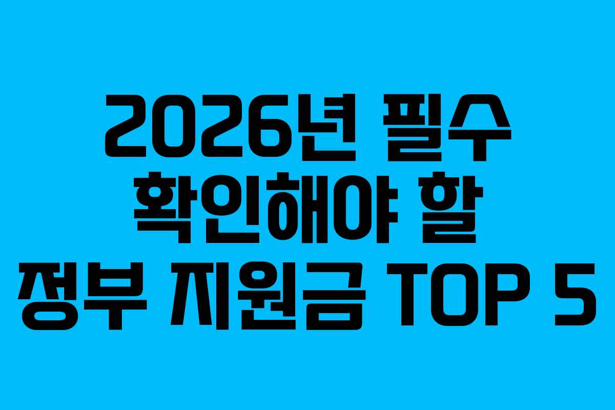 2026년 필수 확인해야 할 정부 지원금 TOP 5 2026년 필수 확인해야 할 정부 지원금 TOP 5