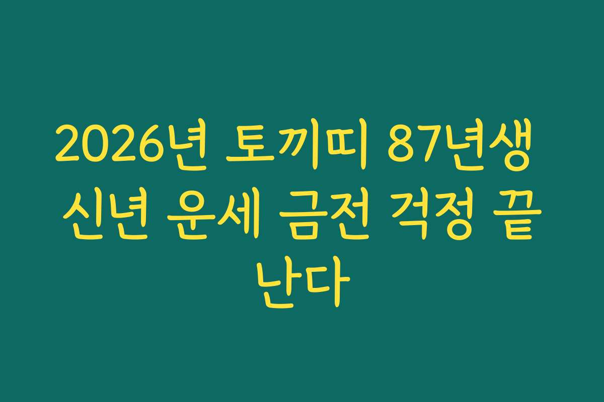 2026년 토끼띠 87년생 신년 운세 금전 걱정 끝난다