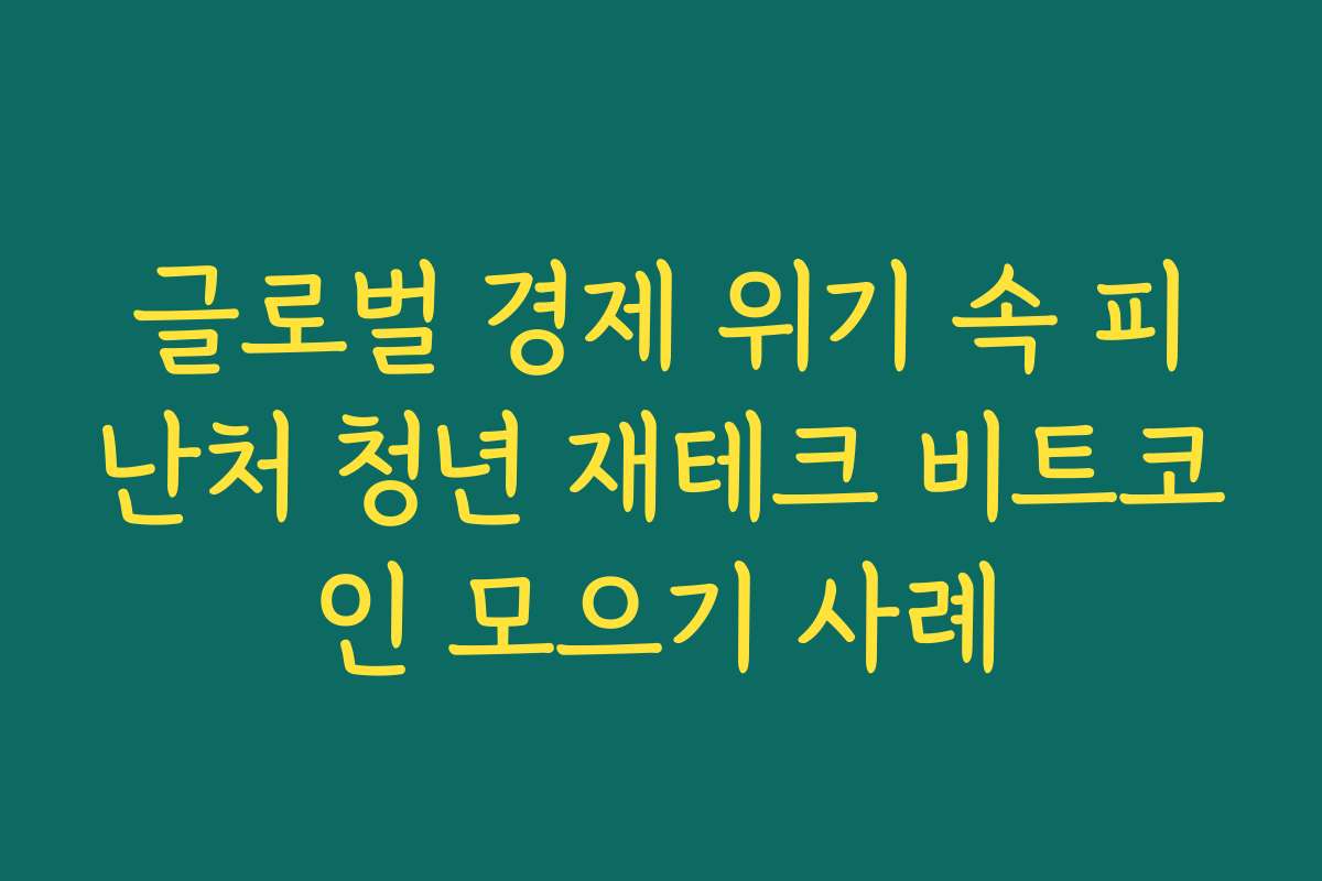 글로벌 경제 위기 속 피난처 청년 재테크 비트코인 모으기 사례