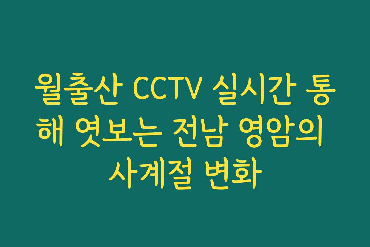 월출산 CCTV 실시간 통해 엿보는 전남 영암의 사계절 변화