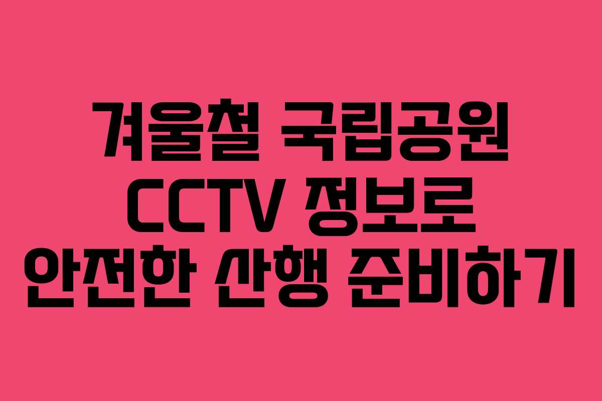 겨울철 국립공원 CCTV 정보로 안전한 산행 준비하기