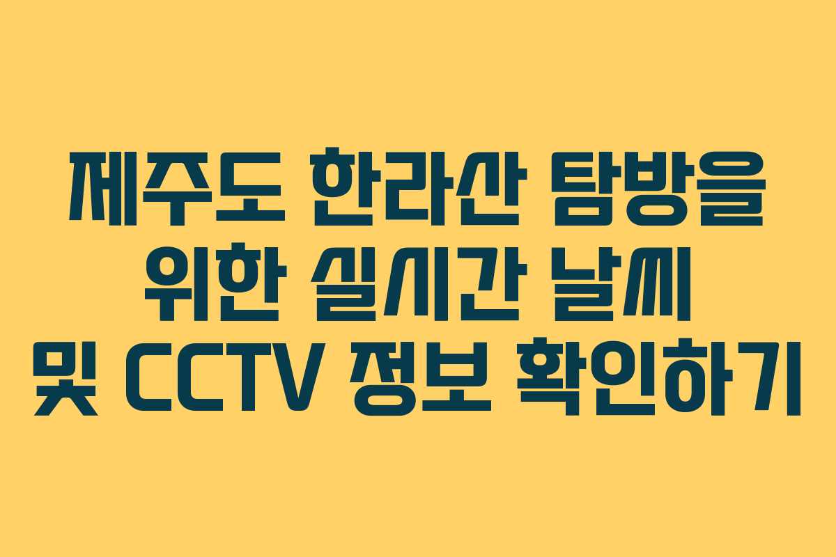 제주도 한라산 탐방을 위한 실시간 날씨 및 CCTV 정보 확인하기