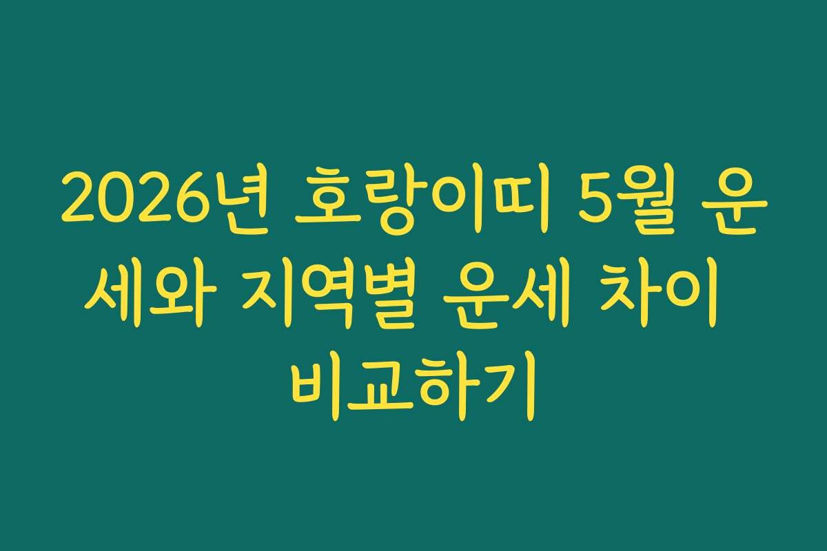 2026년 호랑이띠 5월 운세와 지역별 운세 차이 비교하기