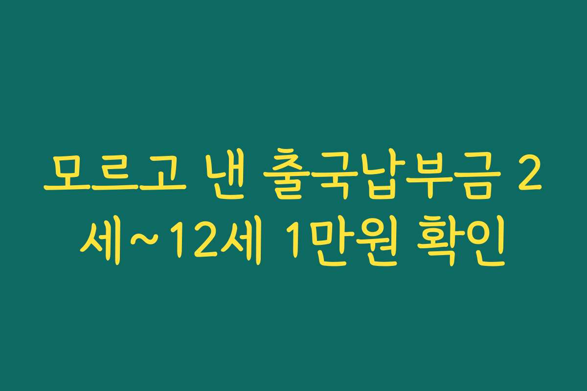 모르고 낸 출국납부금 2세~12세 1만원 확인