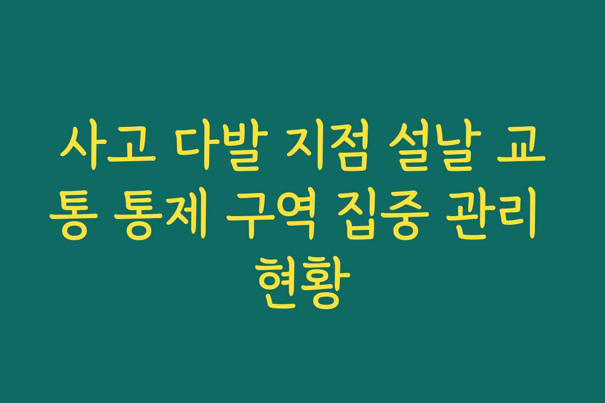 사고 다발 지점 설날 교통 통제 구역 집중 관리 현황