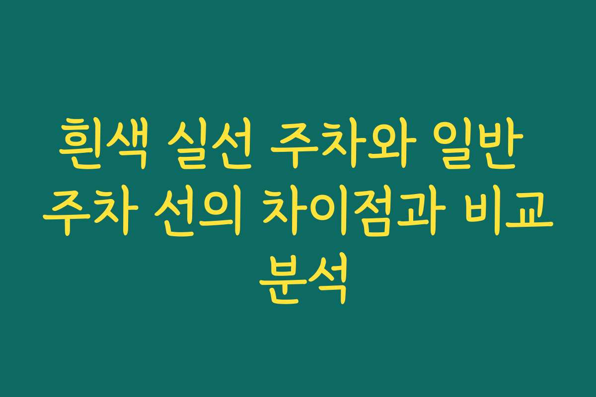 흰색 실선 주차와 일반 주차 선의 차이점과 비교 분석