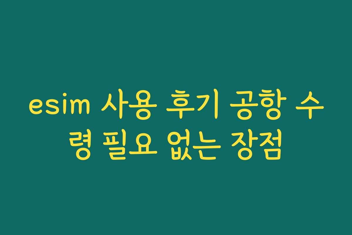 esim 사용 후기 공항 수령 필요 없는 장점