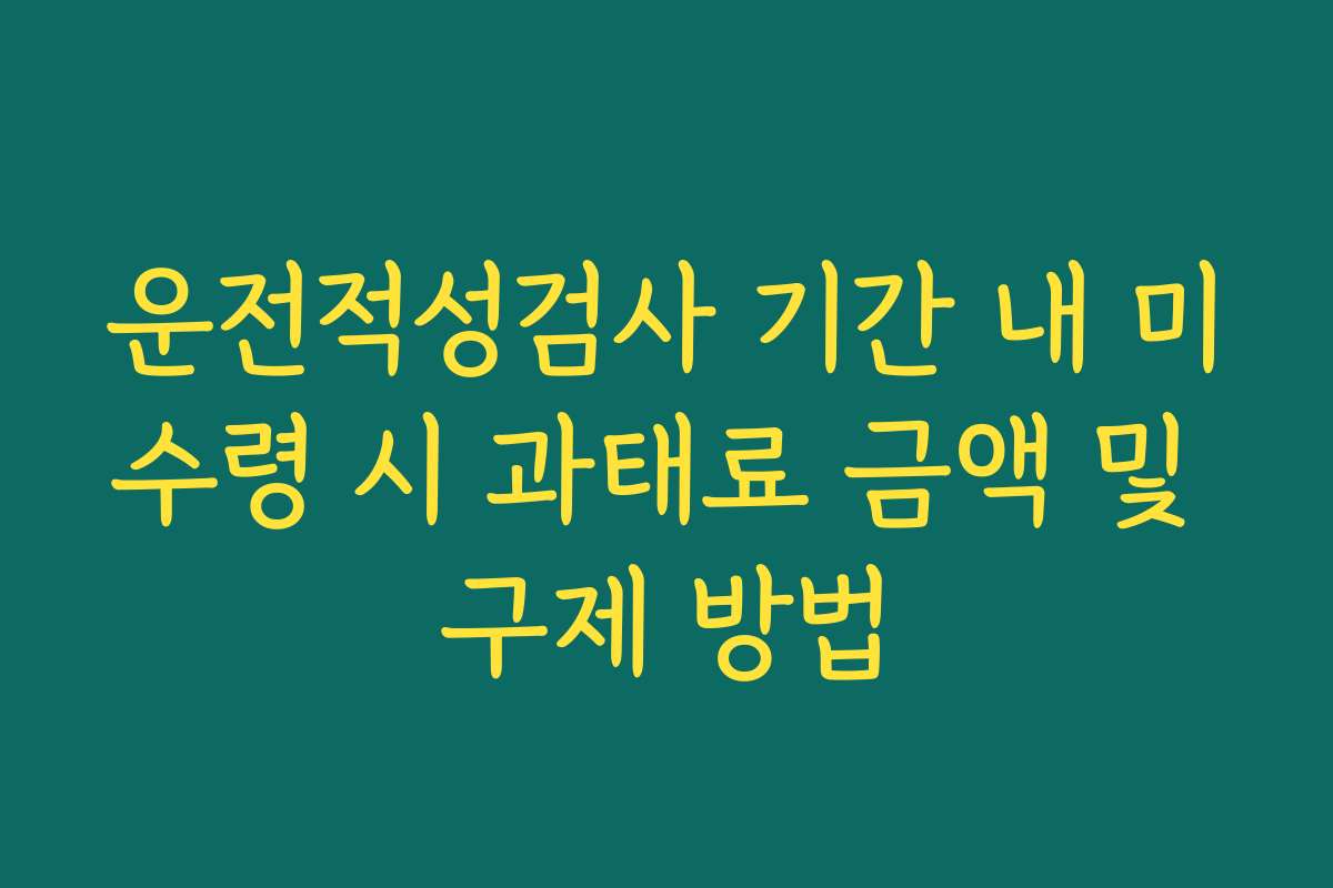 운전적성검사 기간 내 미수령 시 과태료 금액 및 구제 방법