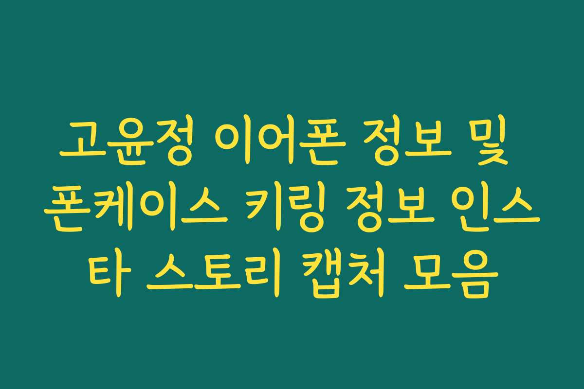 고윤정 이어폰 정보 및 폰케이스 키링 정보 인스타 스토리 캡처 모음
