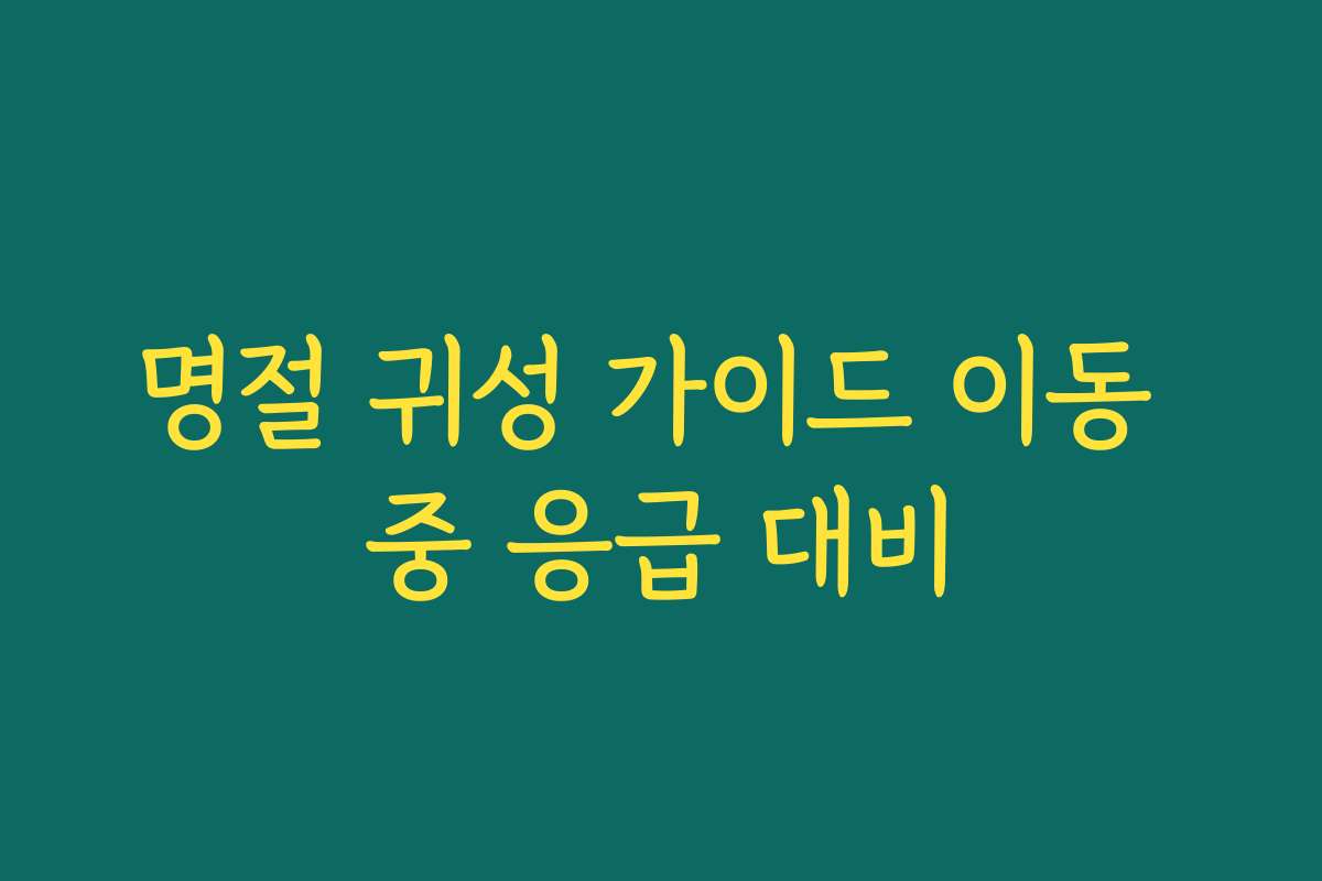 명절 귀성 가이드 이동 중 응급 대비