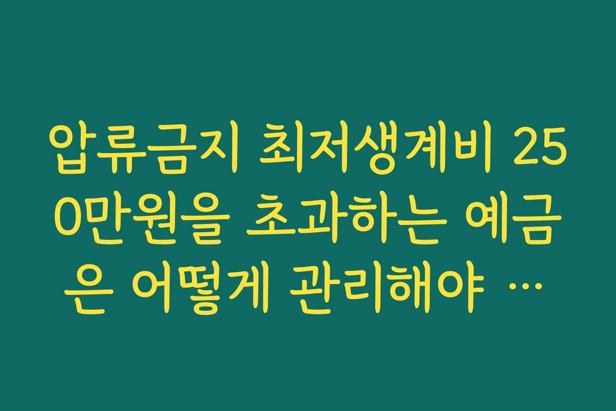 압류금지 최저생계비 250만원을 초과하는 예금은 어떻게 관리해야 할까