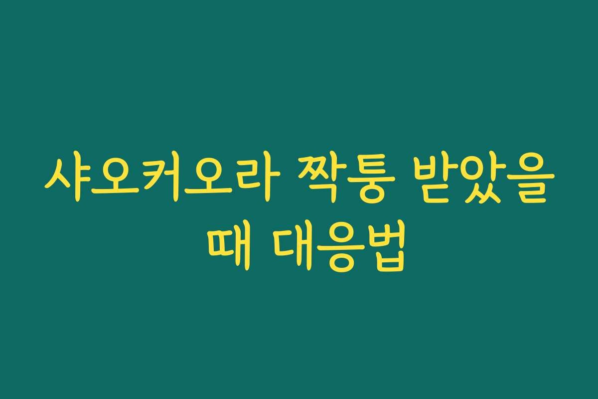 샤오커오라 짝퉁 받았을 때 대응법