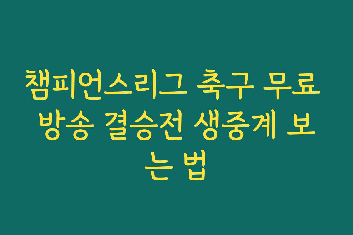 챔피언스리그 축구 무료 방송 결승전 생중계 보는 법 챔피언스리그 축구 무료 방송 결승전 생중계 보는 법