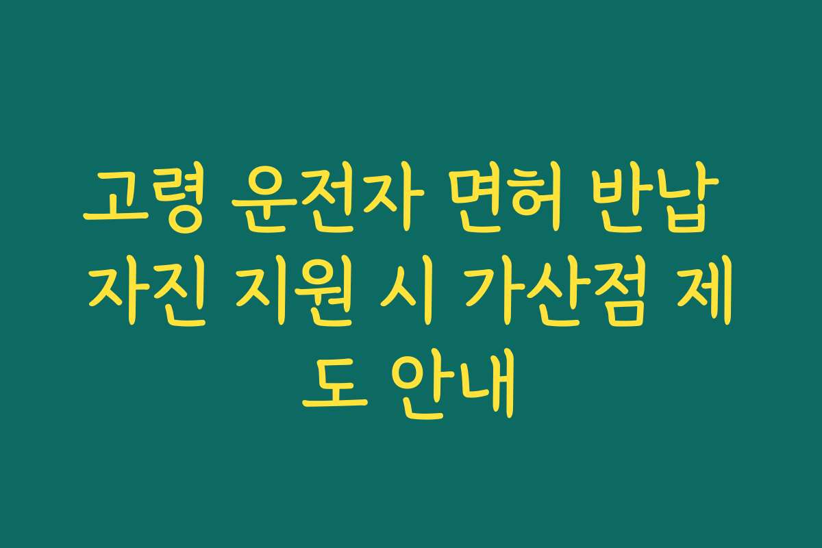 고령 운전자 면허 반납 자진 지원 시 가산점 제도 안내