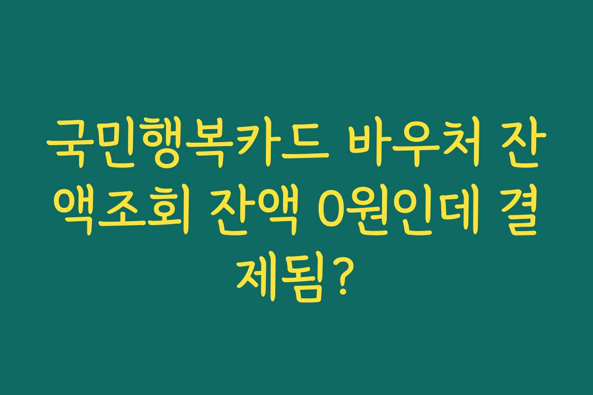 국민행복카드 바우처 잔액조회 잔액 0원인데 결제됨?