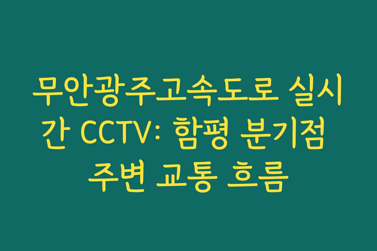 무안광주고속도로 실시간 CCTV: 함평 분기점 주변 교통 흐름