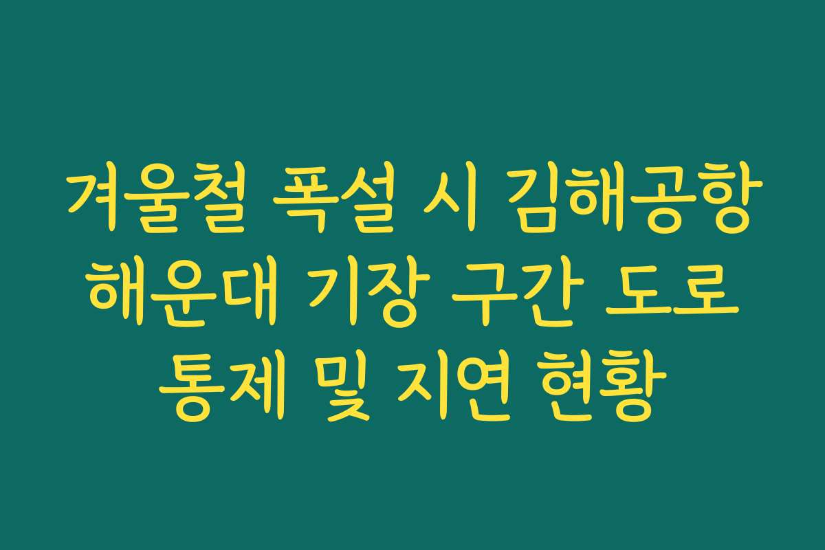 겨울철 폭설 시 김해공항 해운대 기장 구간 도로 통제 및 지연 현황