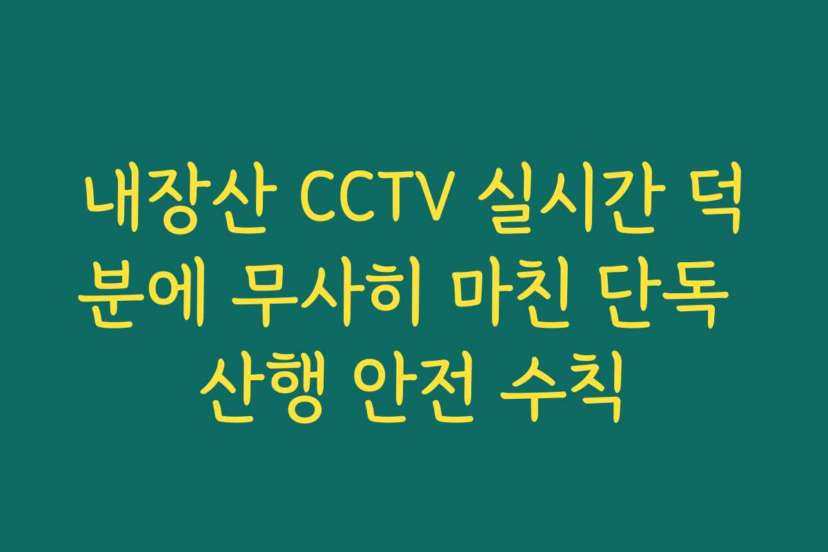 내장산 CCTV 실시간 덕분에 무사히 마친 단독 산행 안전 수칙