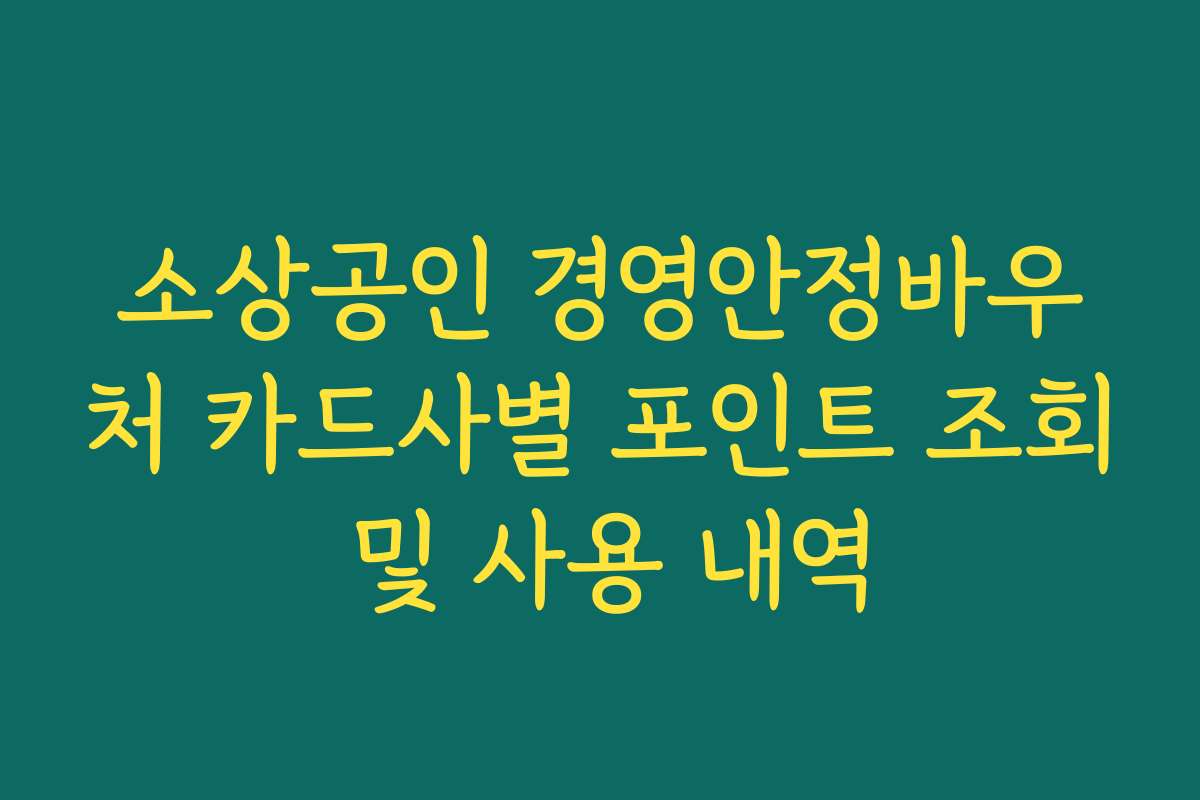 소상공인 경영안정바우처 카드사별 포인트 조회 및 사용 내역