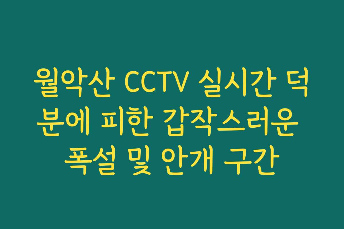 월악산 CCTV 실시간 덕분에 피한 갑작스러운 폭설 및 안개 구간