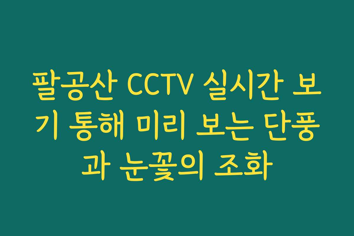 팔공산 CCTV 실시간 보기 통해 미리 보는 단풍과 눈꽃의 조화