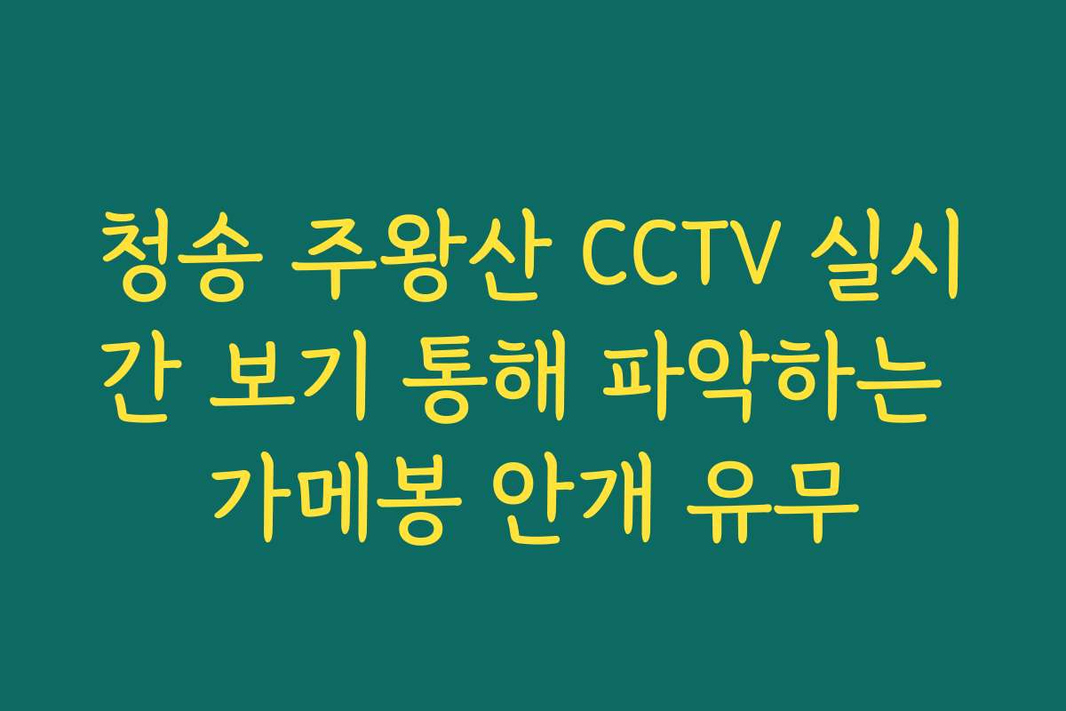 청송 주왕산 CCTV 실시간 보기 통해 파악하는 가메봉 안개 유무