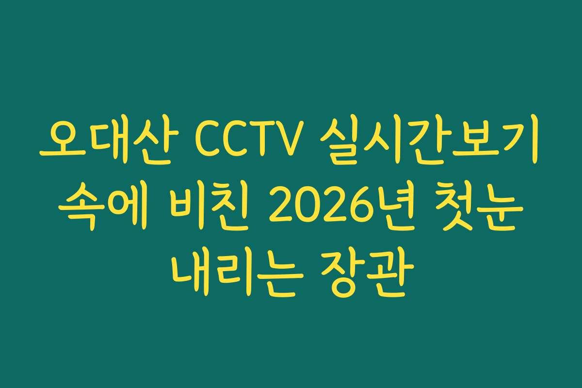 오대산 CCTV 실시간보기 속에 비친 2026년 첫눈 내리는 장관