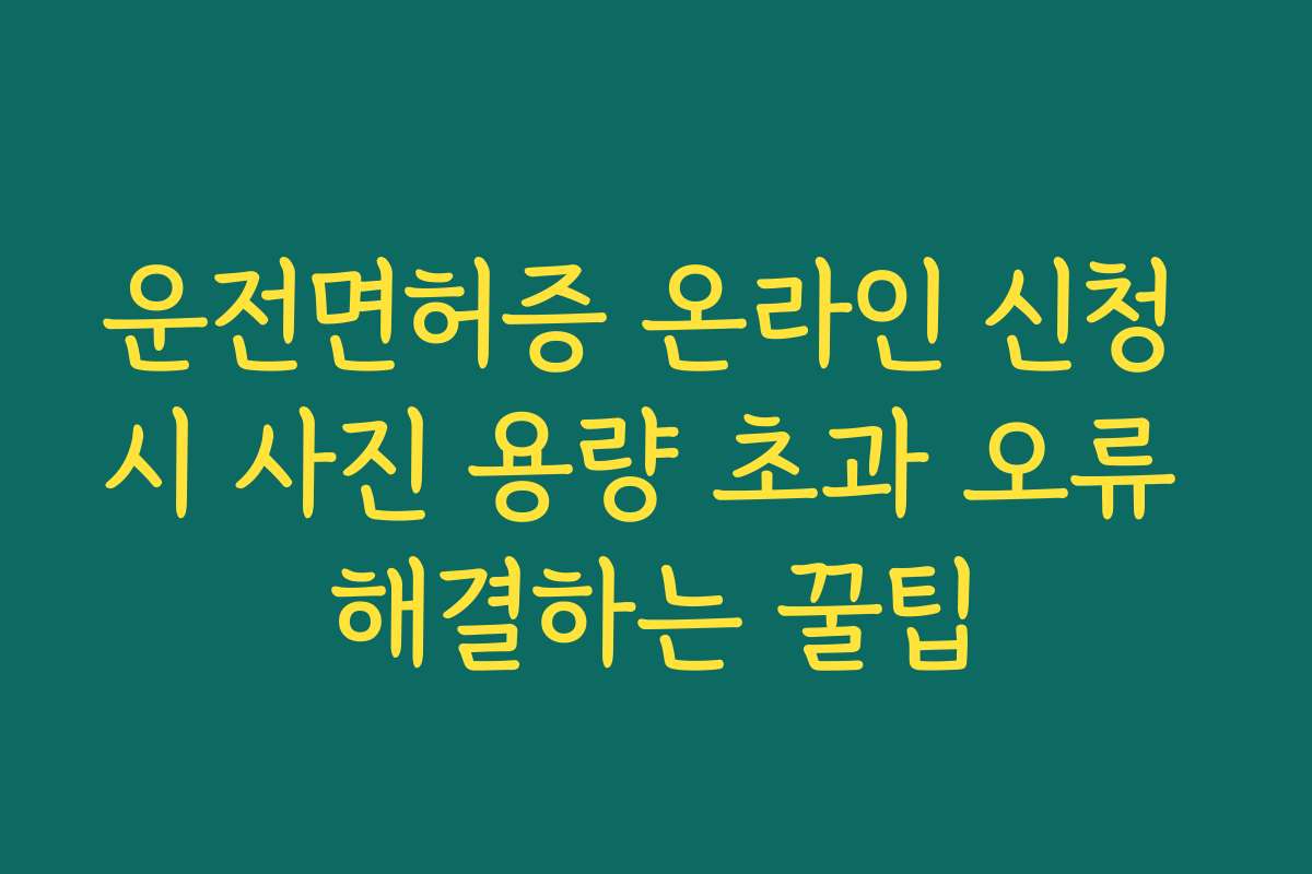 운전면허증 온라인 신청 시 사진 용량 초과 오류 해결하는 꿀팁