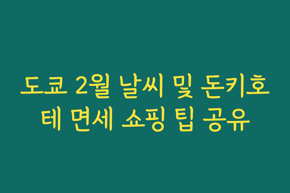 도쿄 2월 날씨 및 돈키호테 면세 쇼핑 팁 공유