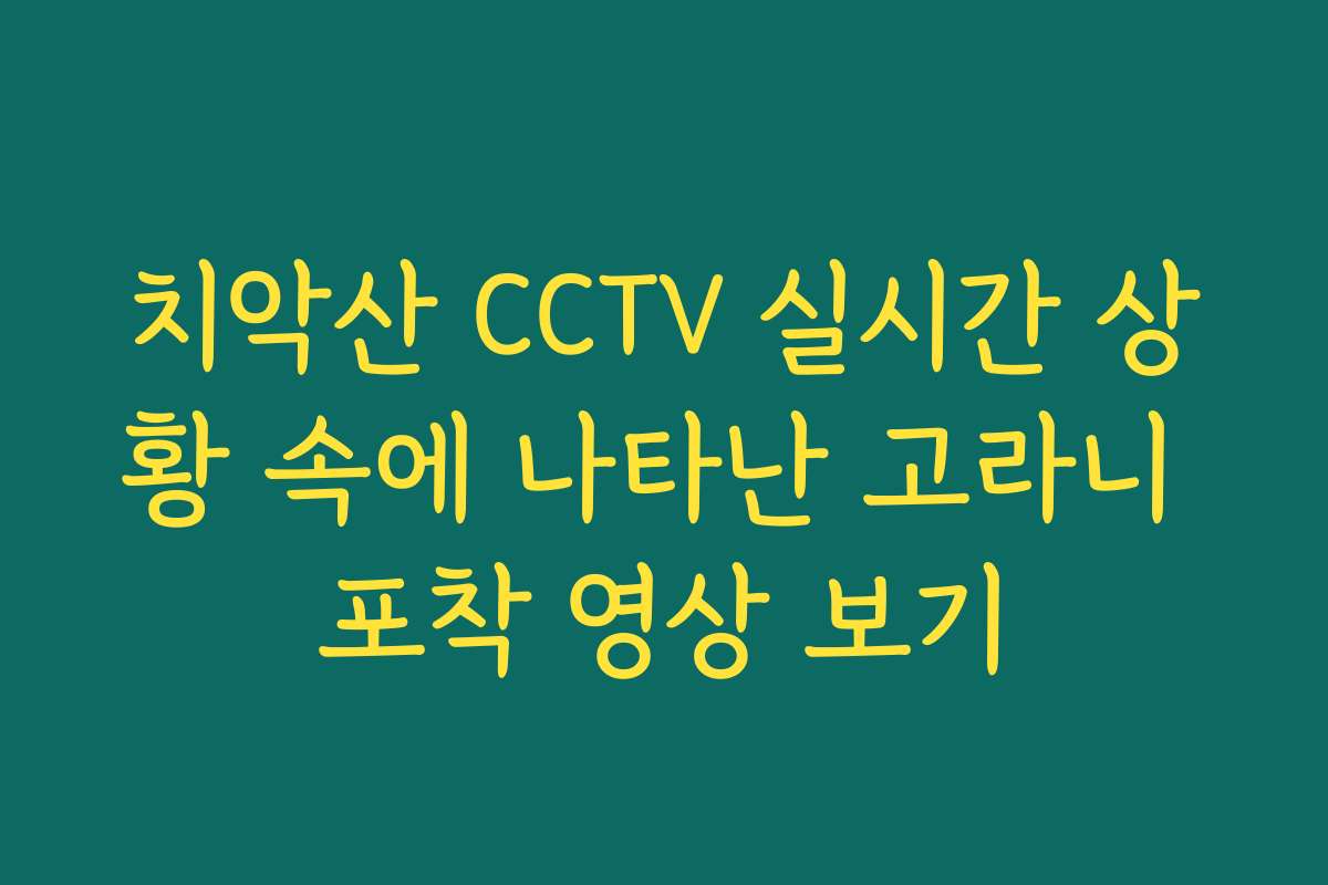 치악산 CCTV 실시간 상황 속에 나타난 고라니 포착 영상 보기