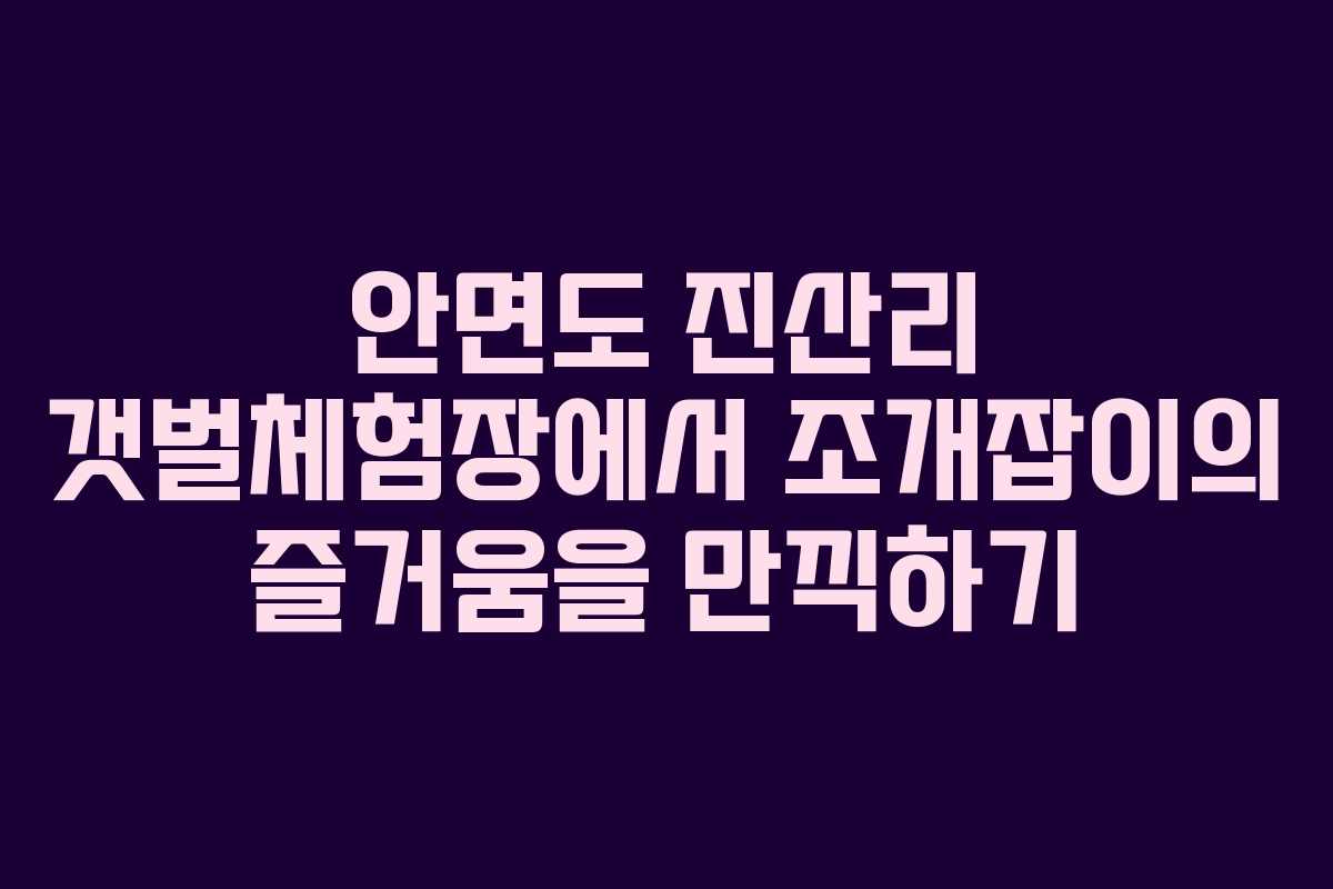 안면도 진산리 갯벌체험장에서 조개잡이의 즐거움을 만끽하기 안면도 진산리 갯벌체험장에서 조개잡이의 즐거움을 만끽하기