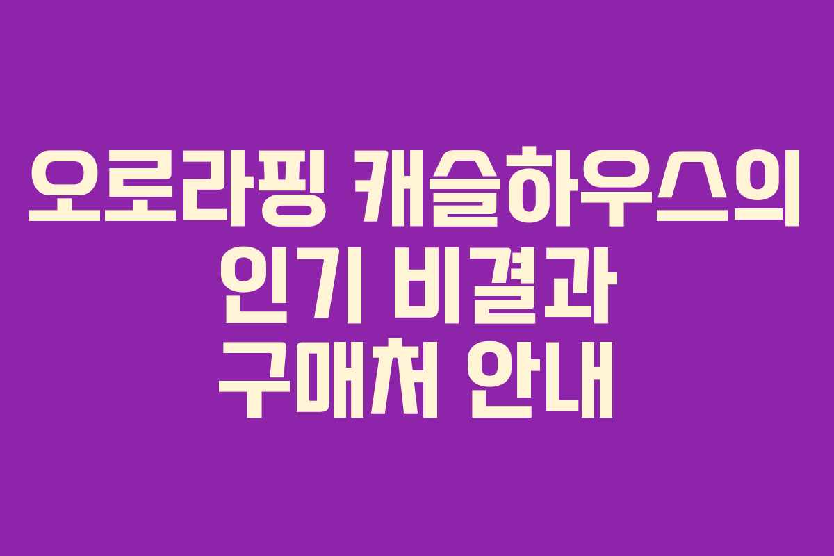 오로라핑 캐슬하우스의 인기 비결과 구매처 안내