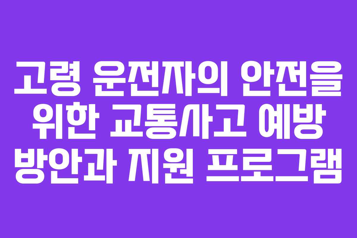 고령 운전자의 안전을 위한 교통사고 예방 방안과 지원 프로그램