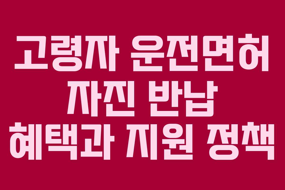 고령자 운전면허 자진 반납 혜택과 지원 정책