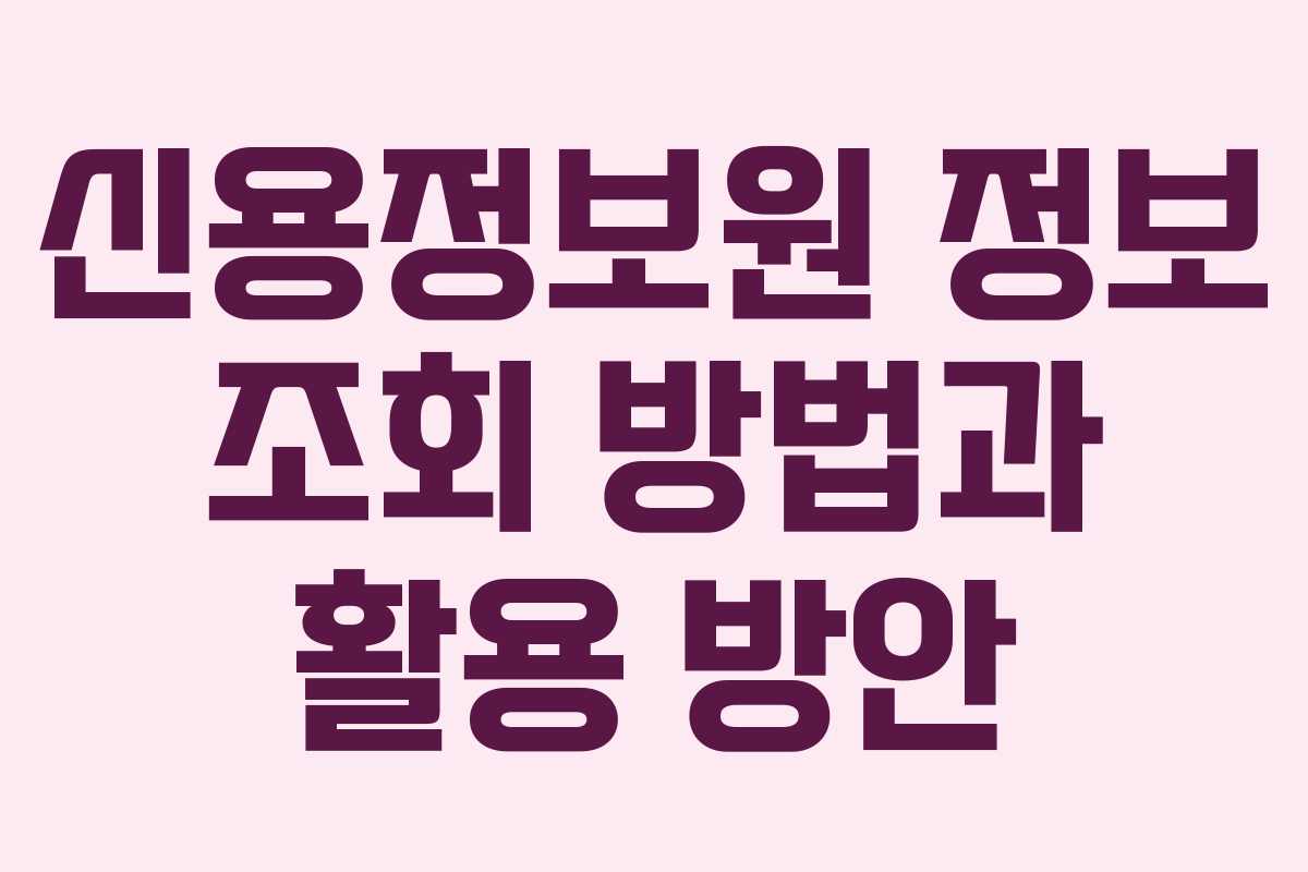 신용정보원 정보 조회 방법과 활용 방안