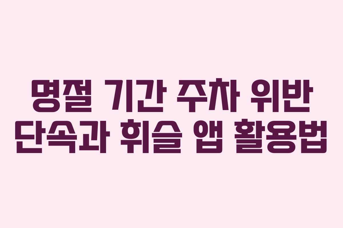 명절 기간 주차 위반 단속과 휘슬 앱 활용법