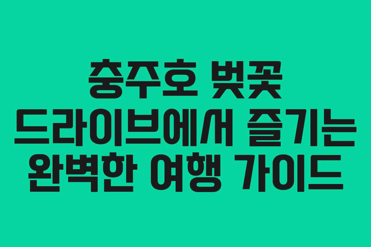 충주호 벚꽃 드라이브에서 즐기는 완벽한 여행 가이드