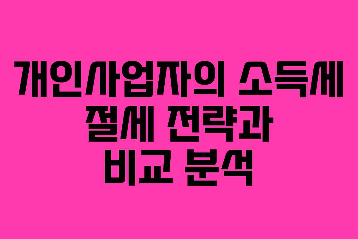 개인사업자의 소득세 절세 전략과 비교 분석