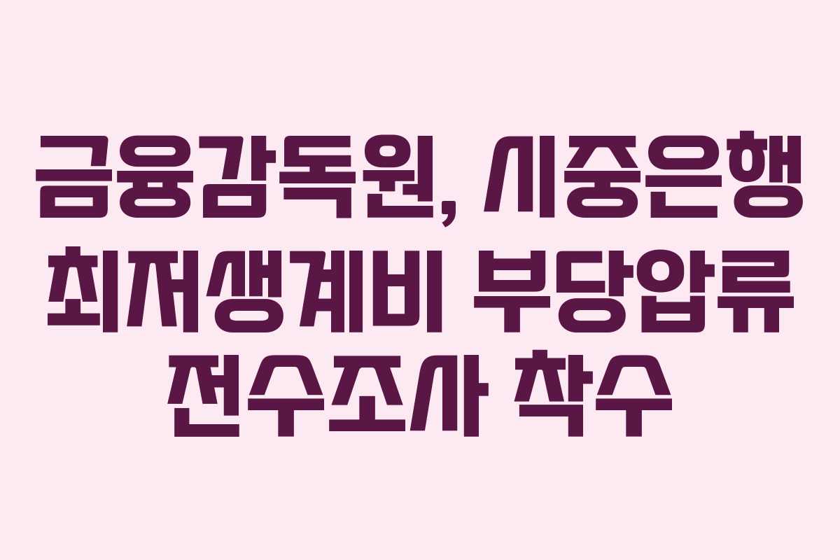 금융감독원, 시중은행 최저생계비 부당압류 전수조사 착수 금융감독원, 시중은행 최저생계비 부당압류 전수조사 착수