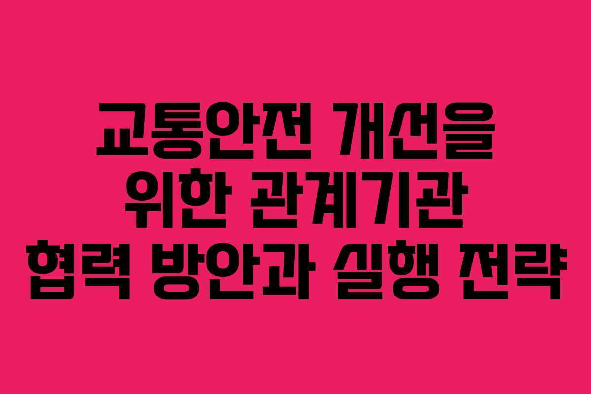 교통안전 개선을 위한 관계기관 협력 방안과 실행 전략 교통안전 개선을 위한 관계기관 협력 방안과 실행 전략