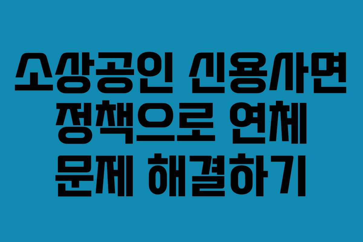 소상공인 신용사면 정책으로 연체 문제 해결하기