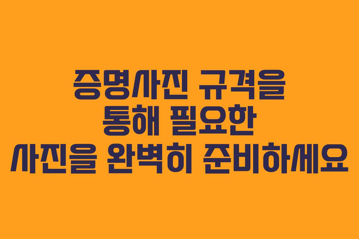 증명사진 규격을 통해 필요한 사진을 완벽히 준비하세요