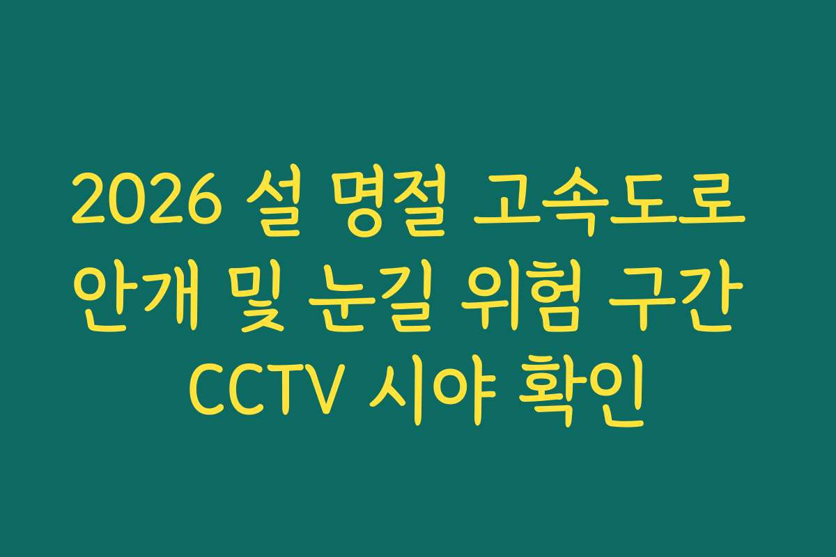 2026 설 명절 고속도로 안개 및 눈길 위험 구간 CCTV 시야 확인