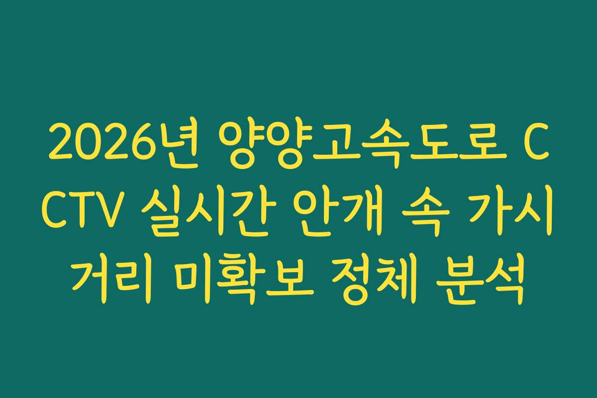 2026년 양양고속도로 CCTV 실시간 안개 속 가시거리 미확보 정체 분석